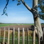 Uitzicht van op het terras