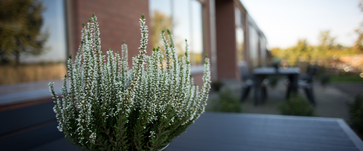 Groot terras