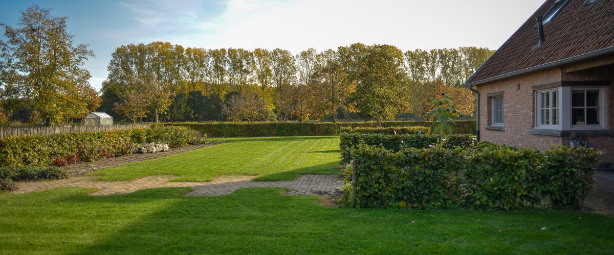 Tuin