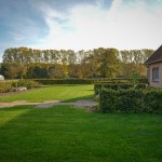 Tuin