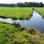 Weidelandschappen